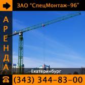 Услуги (аренда) башенных кранов SMH Екатеринбург